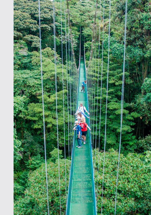 Hanging-Bridges-Sky hanging bridges sky