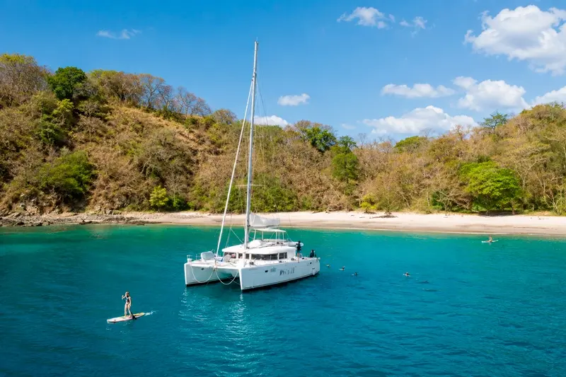 catamaran marina flamingo